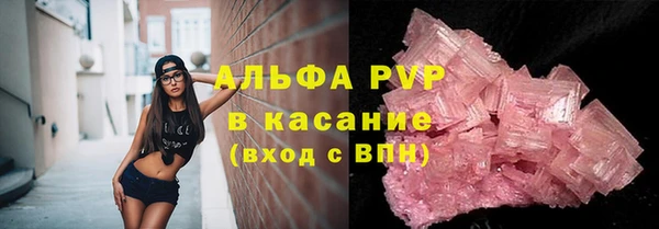 стаф Пестово