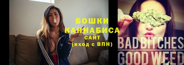 стаф Пестово