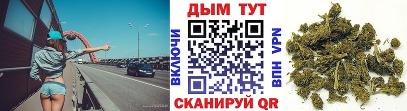 Канабис гибрид  Сычёвка 